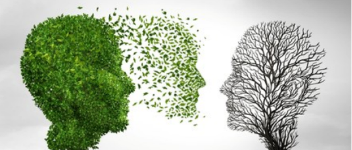 2. Early Career Mentorship - Our solution